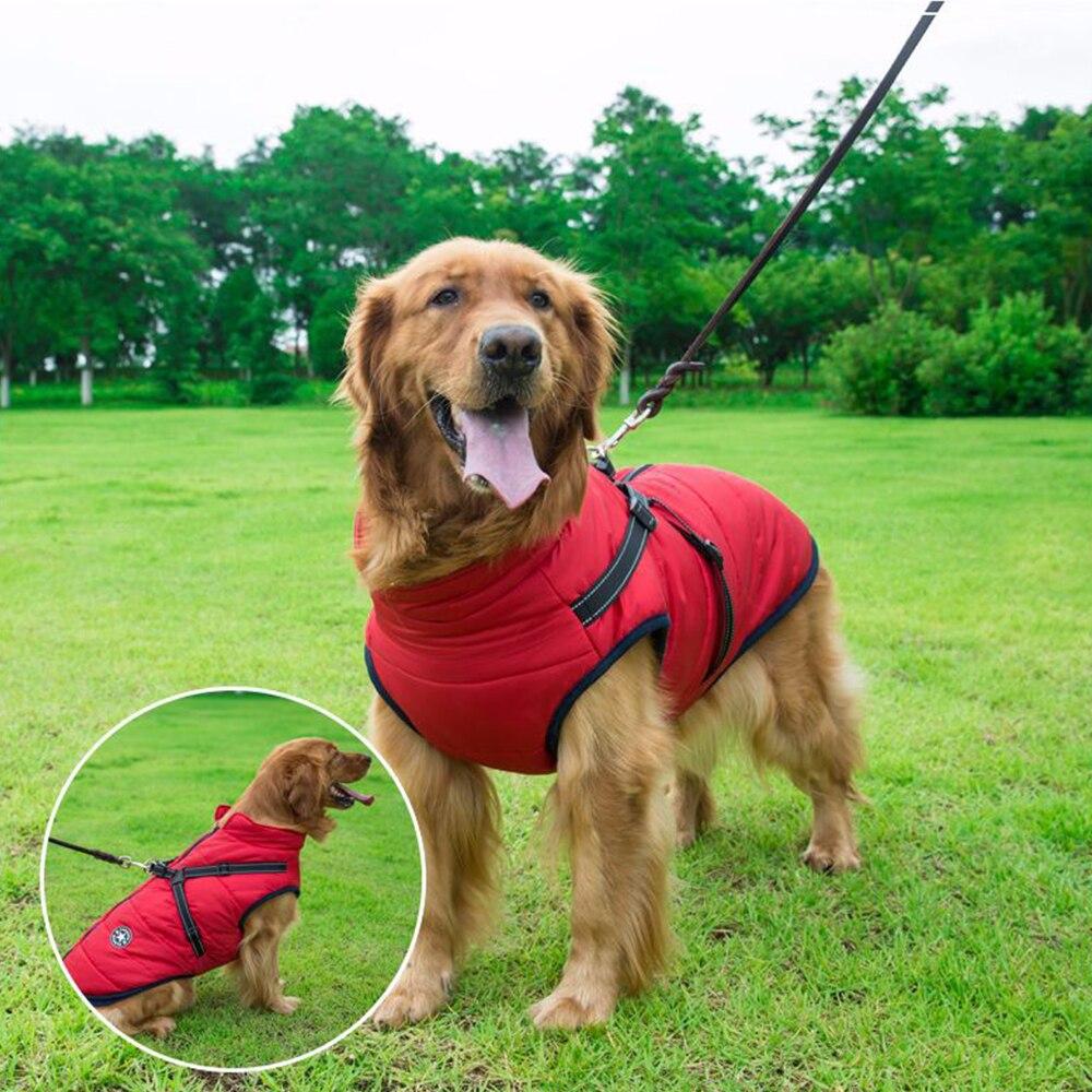 Waterproof Winter Jacket with Built-in Harness