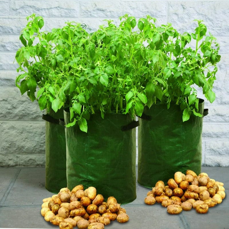Set of 3 Potato Grow Bag Planters