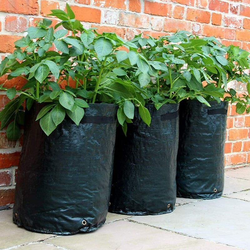 Set of 3 Potato Grow Bag Planters
