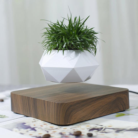 Levitating Bonsai Pot（No green plants）